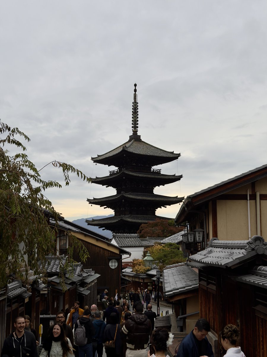 KobiVB's tweet image. 🇯🇵