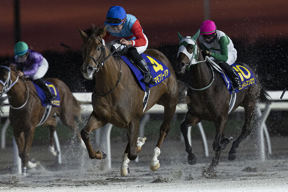 jimuin7035's tweet image. アメブロを更新しました。『3103 ｢農林水産大臣賞典第25回ＪＢＣシリーズ｣が行われました ②｡』
⇒ ameblo.jp/senohia7027/en… #アメブロ @ameba_officialより