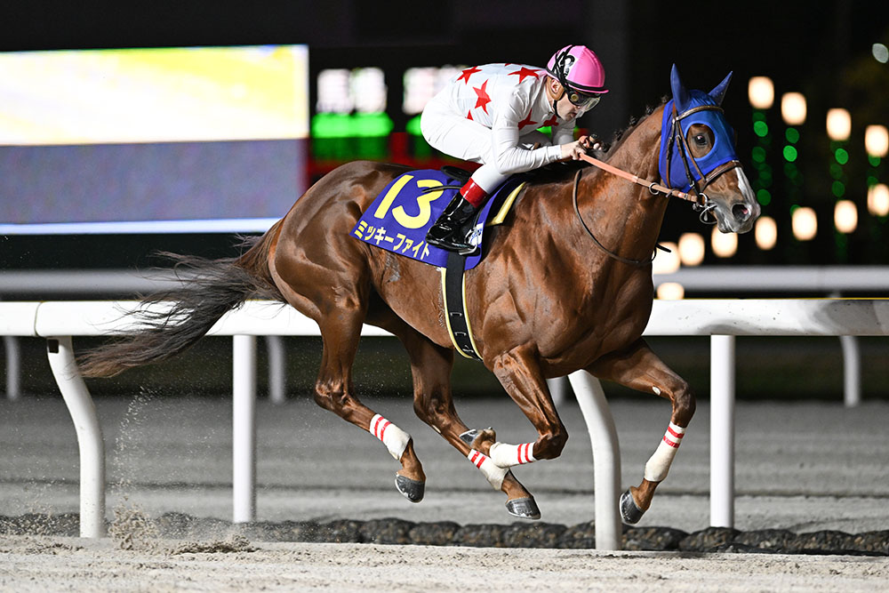 jimuin7035's tweet image. アメブロを更新しました。『3103 ｢農林水産大臣賞典第25回ＪＢＣシリーズ｣が行われました ②｡』
⇒ ameblo.jp/senohia7027/en… #アメブロ @ameba_officialより