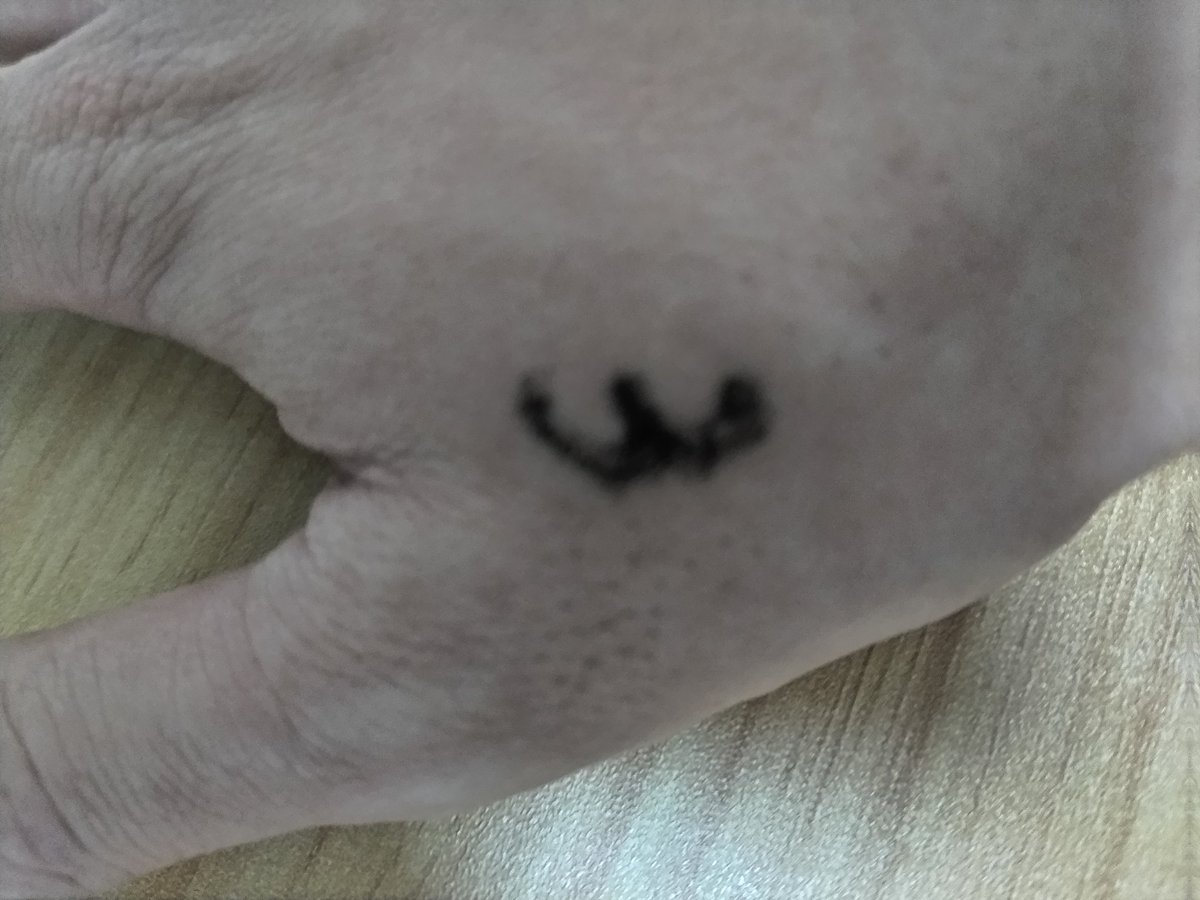 KIT_composer's tweet image. 「誰だ！」
「ライブハウスの中打ち上げでお会計を済ませた順に点呼するやつが3番目だったものです」
「よし通れ！」

#のみたりにゃいと1杯目