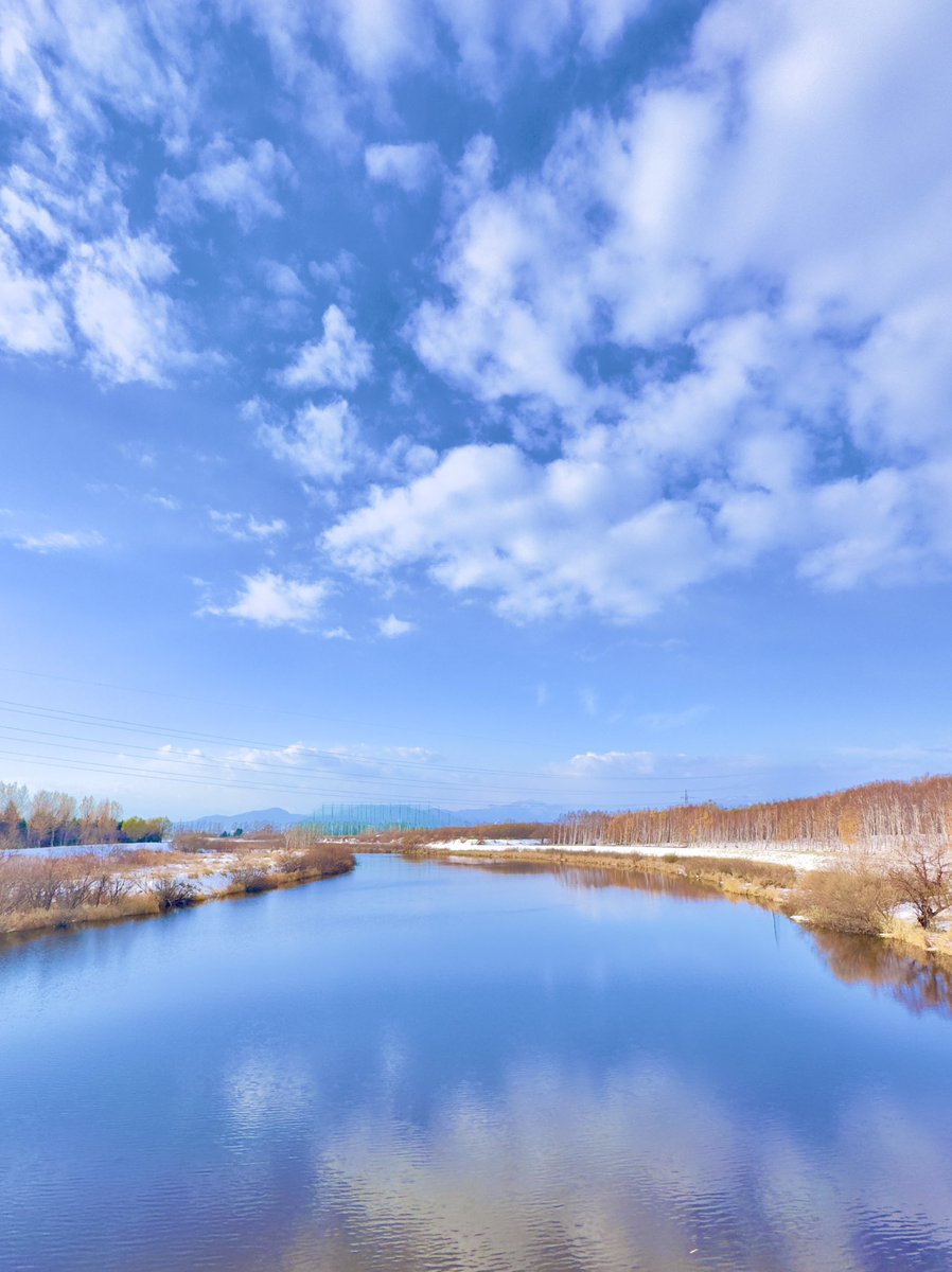 のーまーくん (@j44KMPlXzmq1CRb) / Posts / X