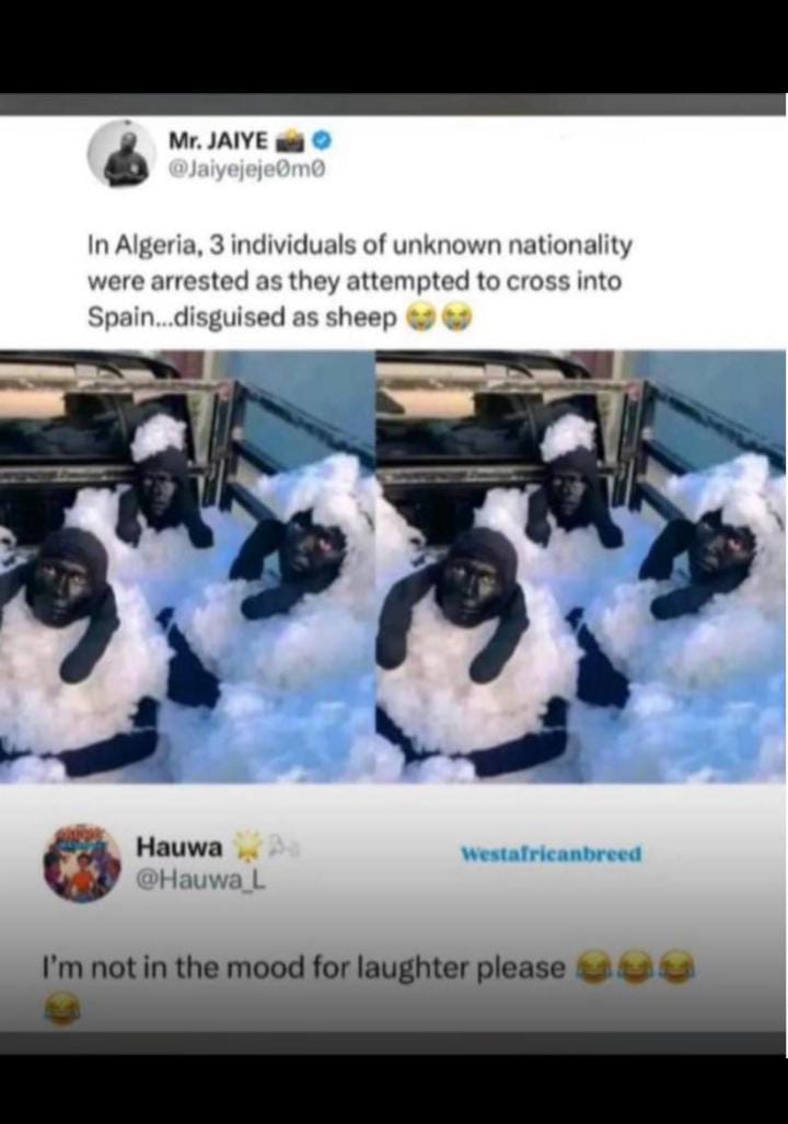 +ve_venom (@aerochi1) on Twitter photo 