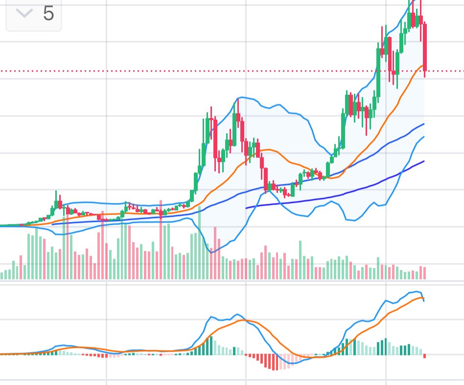 SatoshiCheckEcoOffical tweet media