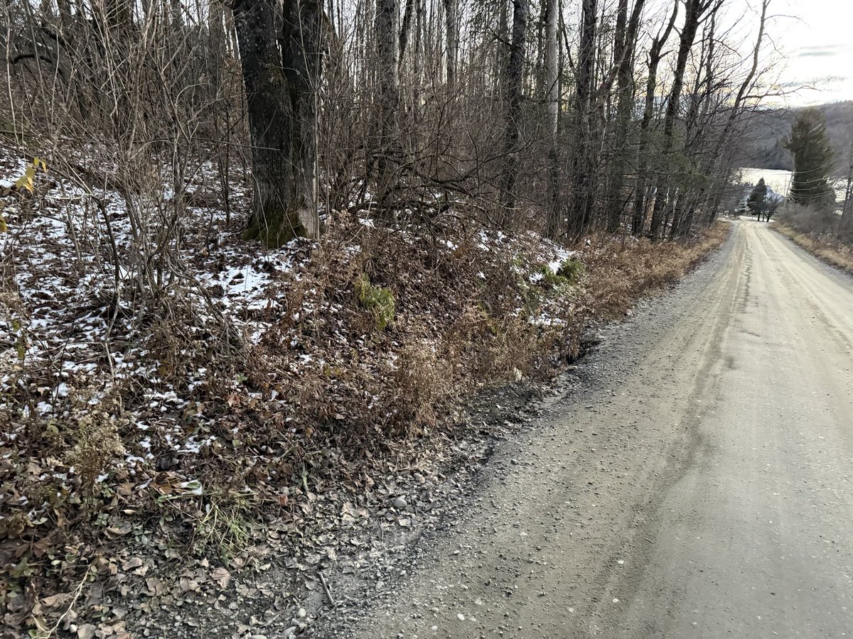 OldHollowTree's tweet image. A “Wish you were here” postcard but it’s just the forlorn November side of the road leading down to the village with a few cans of stout in our coat pockets and woodsmoke in the air.