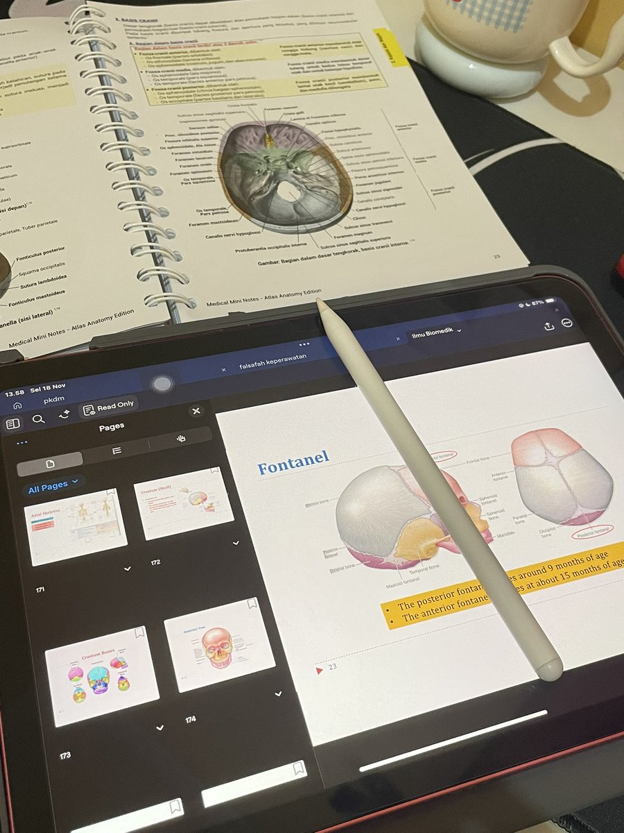 mo0uwza's tweet image. balance for eat and study 💗