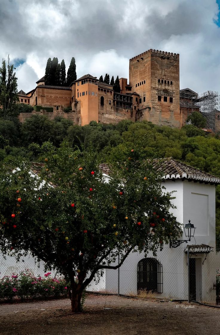 A cloudy day in Andalusia