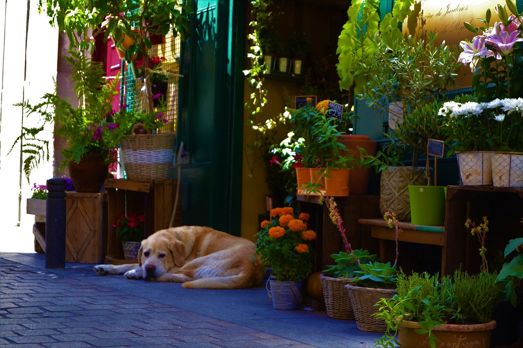 <a href="/rthur013/">La Abuela García®™</a>