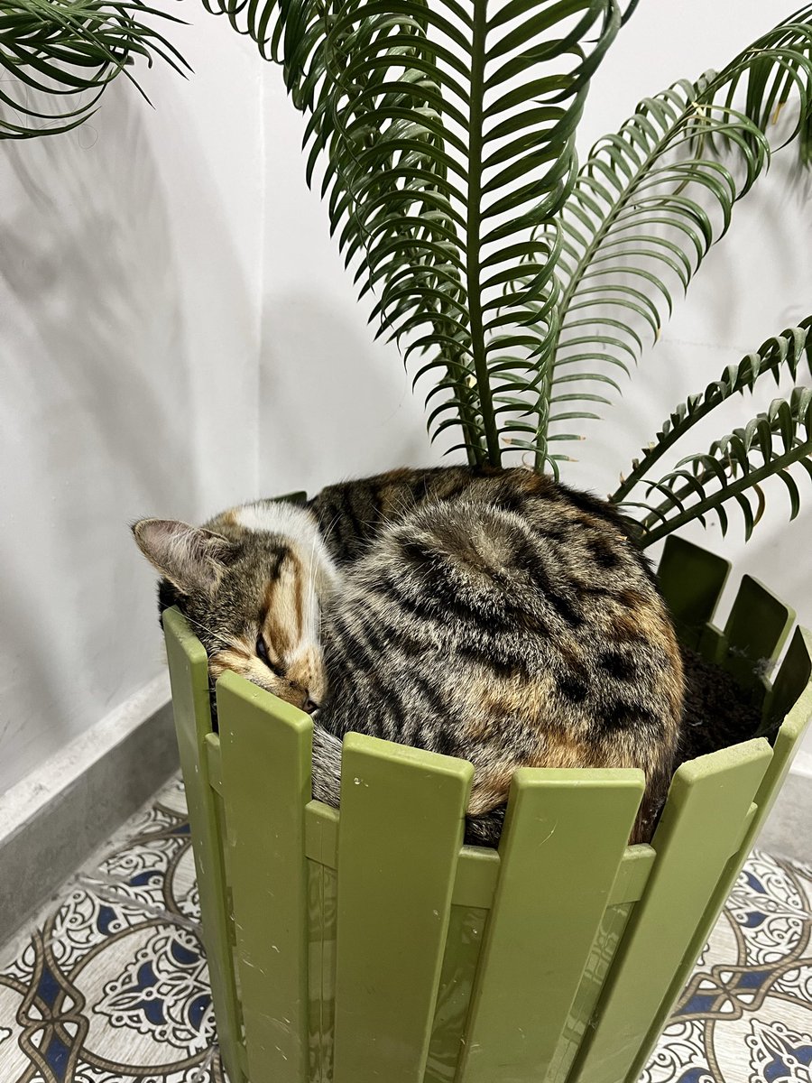 tamamen habersiz hem de🥹🤍