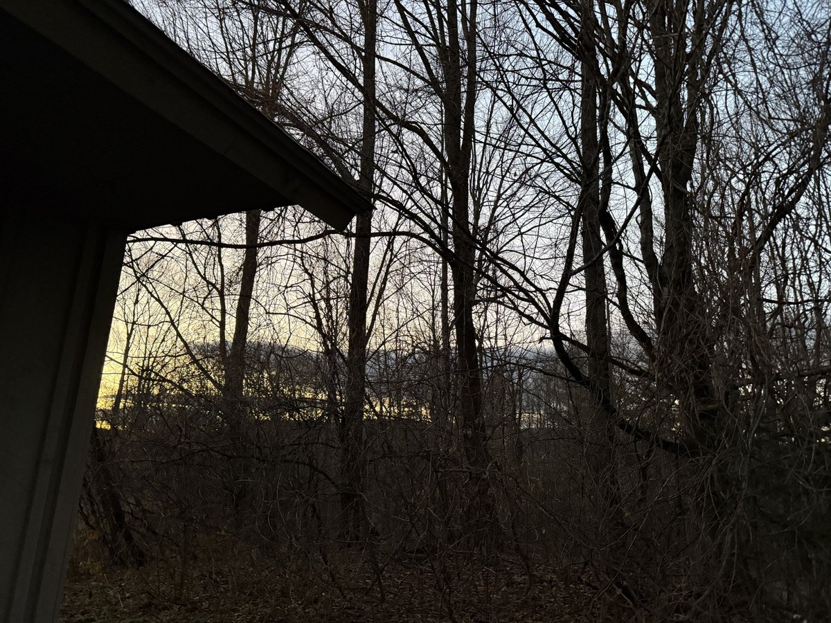 OldHollowTree's tweet image. A “Wish you were here” postcard but it’s just that scraggly part of woods behind the barn where you go to think about God and fatherhood and hope you’re on the right track.