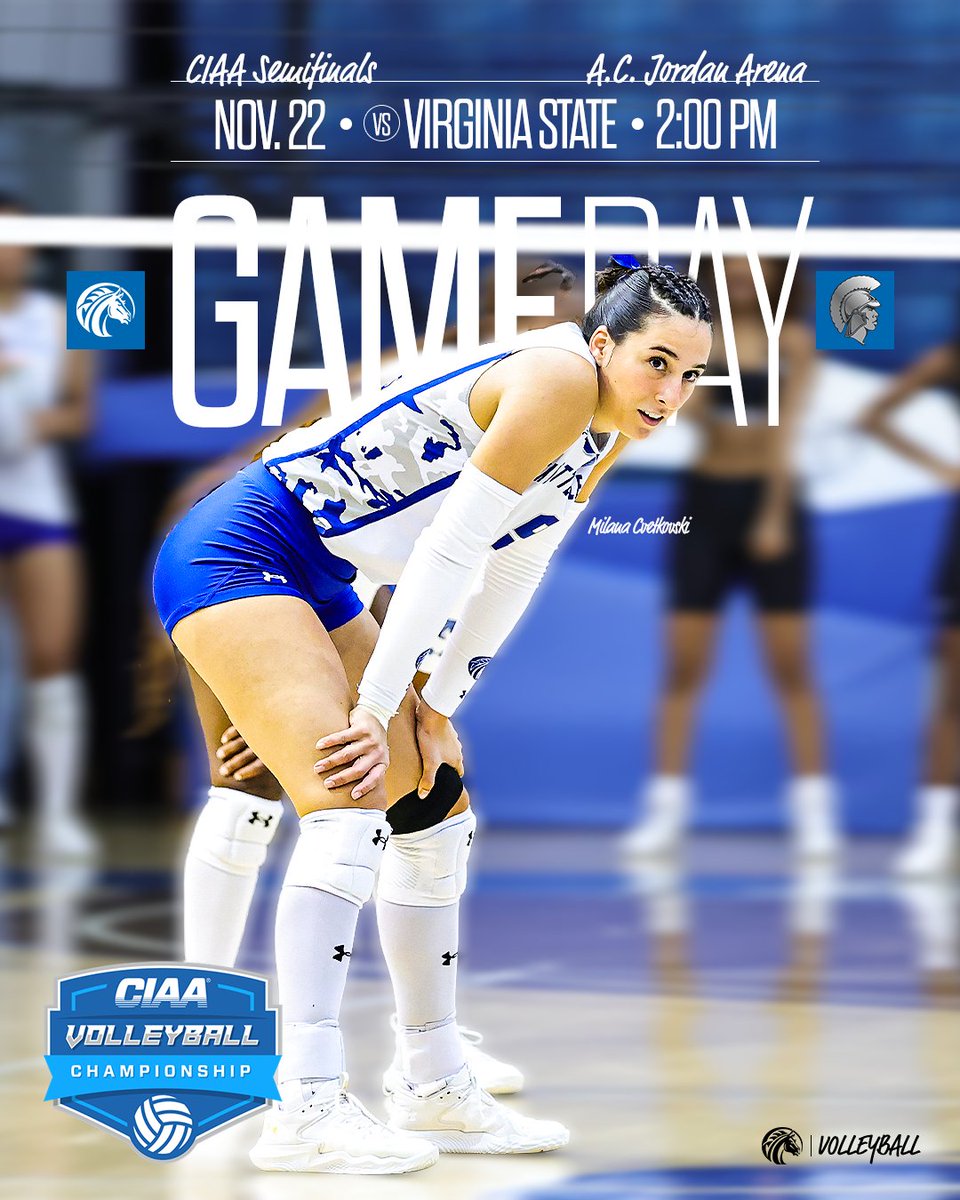 FSUBroncos_VB's tweet photo. 𝗢𝗻𝗲 𝘀𝘁𝗲𝗽 𝗰𝗹𝗼𝘀𝗲𝗿.

Watch the game and follow the live score on https://t.co/UblXIJsQgf

#fsubroncos | #broncopride | #ciaa | #hbcuvolleyball https://t.co/8GodHGNWvu