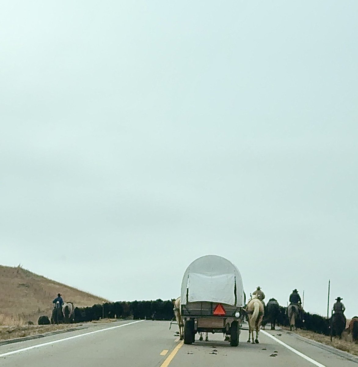 NSP_TroopD's tweet image. Troopers Penaflor and Nilson assisted with a cattle move between Mullen and Tryon. 
And yes, that is a chuck wagon. 
Here’s to the Beef State!