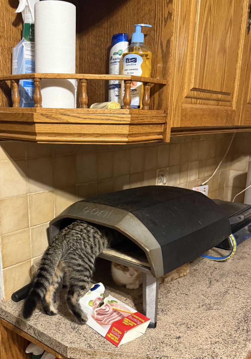 Angry Anna❤️‍🔥 tweet media