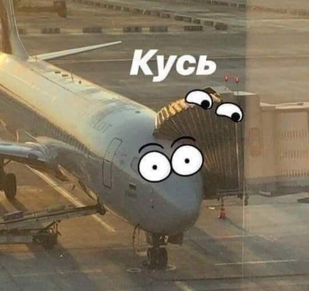 Sand-Witch (@saaandwitch) on Twitter photo 