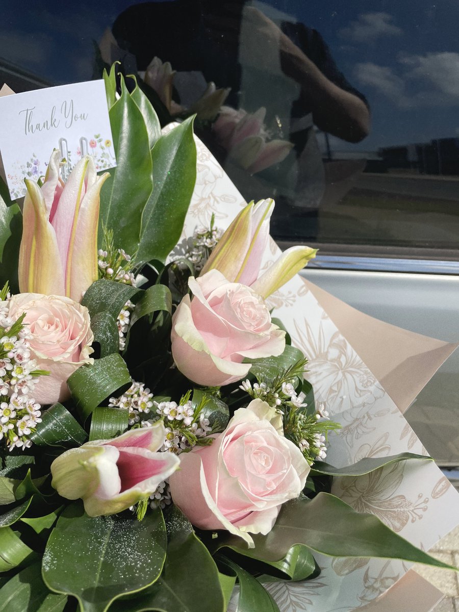 bitekivibes's tweet image. 