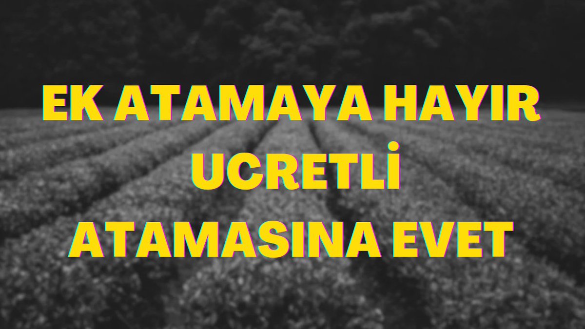 Ek atamaya kesinlikle karşıyız.
Öğretmen açığının kapatılması için en doğru ve en hızlı çözüm, yıllardır sınıflarda emek veren tecrübeli Ücretli Öğretmenlerden yararlanmaktır. Bugün 80 puan almış ancak öğretmenlik uygulaması sıfır olan binlerce “sözde öğretmen” bulunmaktadır.