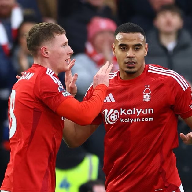 Callum Castel tweet media