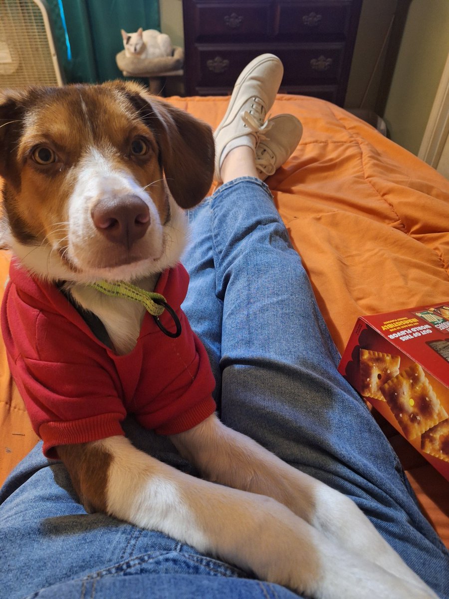 Frank wants my cheez its!!