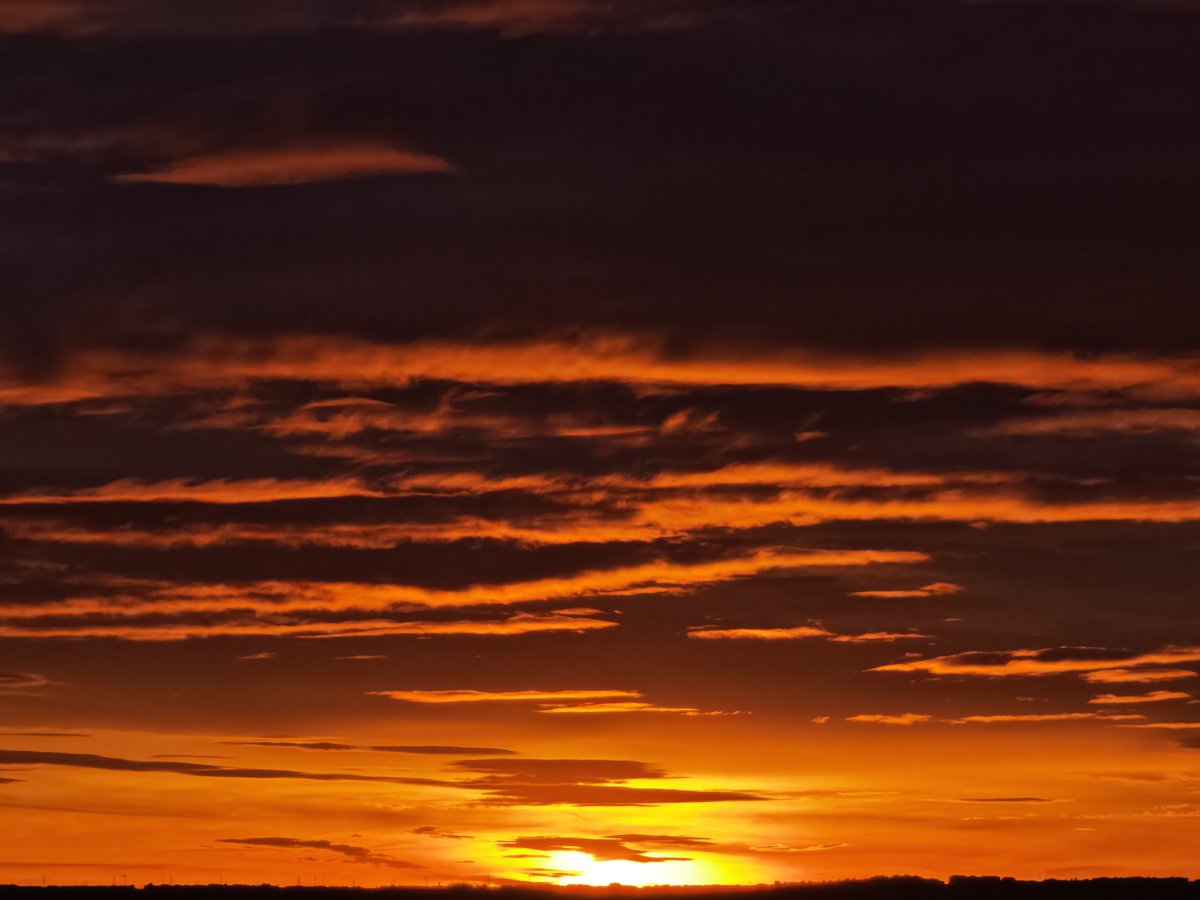 Ll0r3nt3's tweet image. 