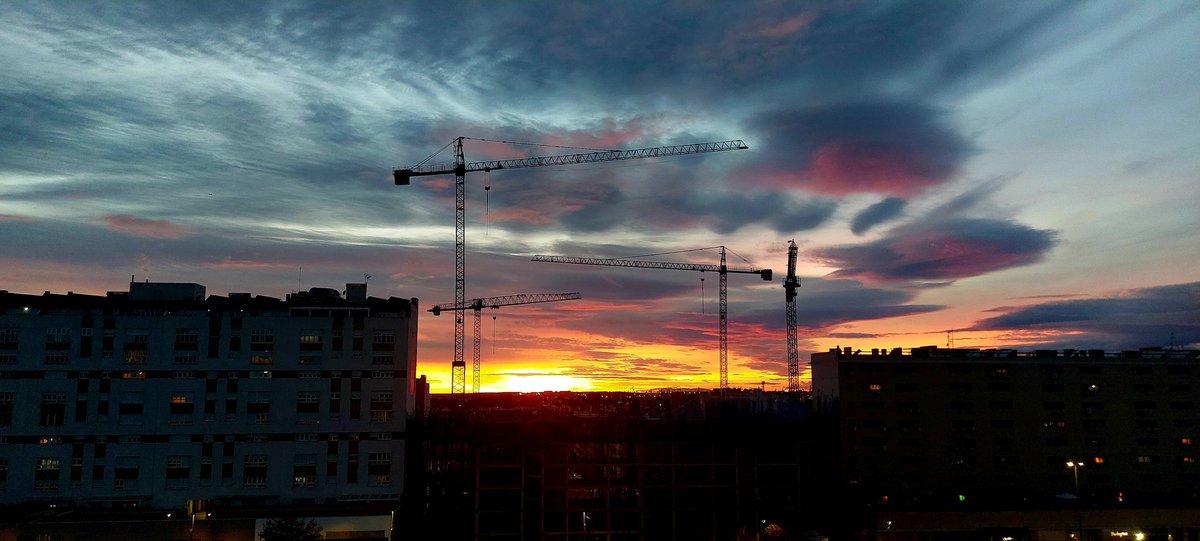 SinParar5's tweet image. La magia de sus colores...