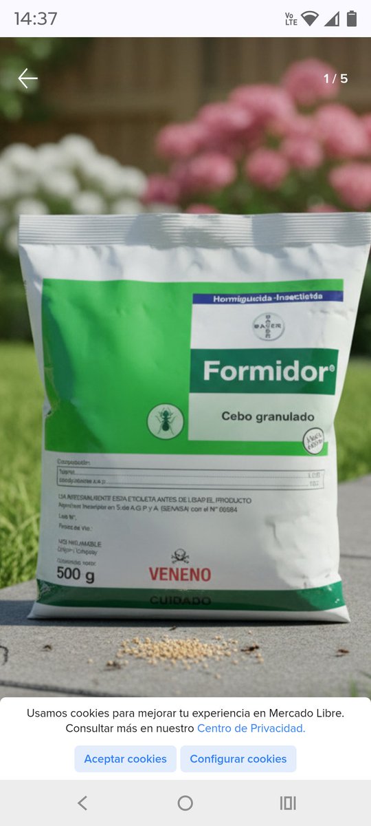 Martín Sánchez tweet media