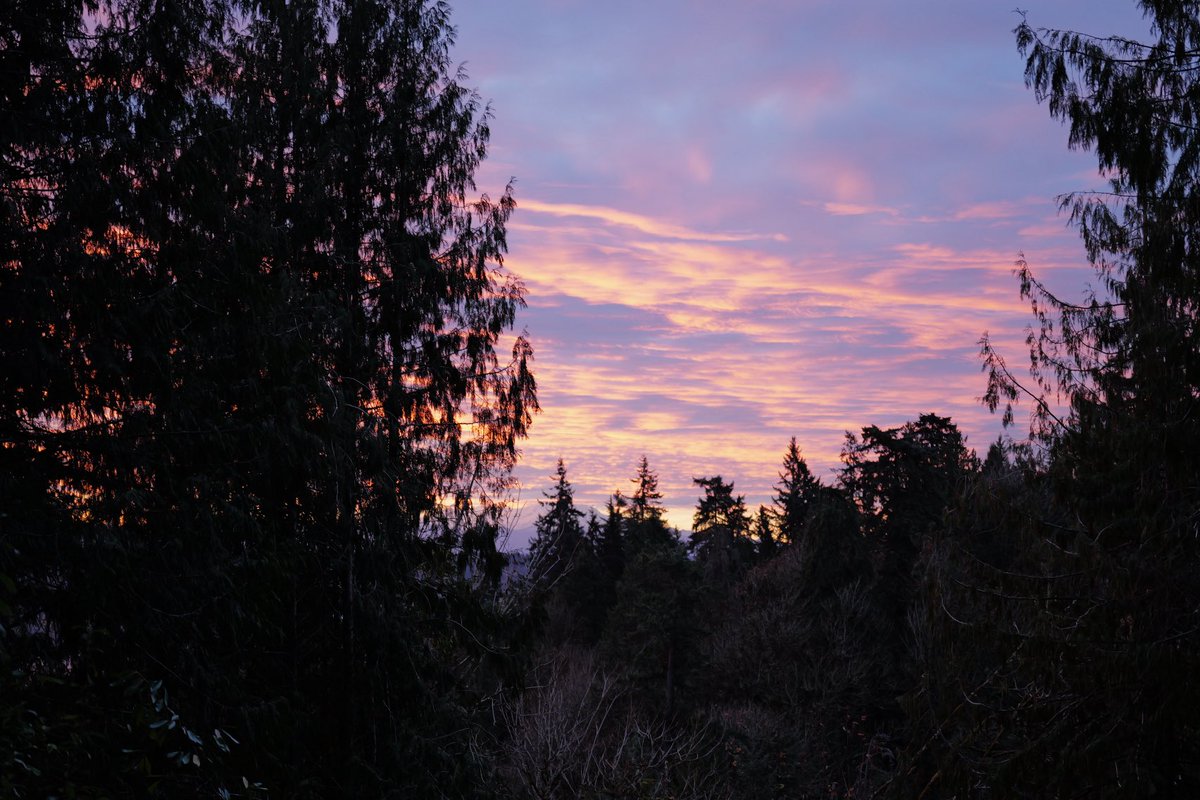 Vinod Grover tweet media