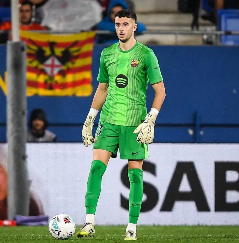 Berneese tweet media