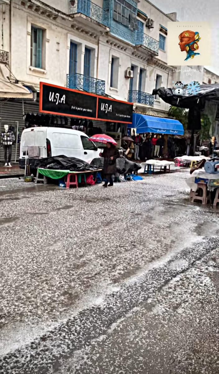 Snow has begun to fall across the northwest regions of Tunisia, reaching as far as Bizerte. 
Everyone, please maintain caution when driving, keep some warm clothing on you and enjoy the winter!