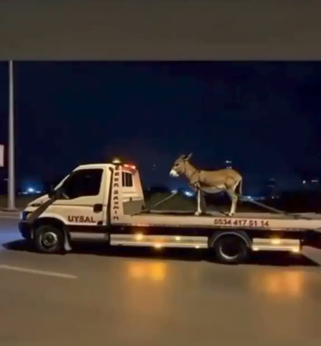 Polícia federal levando o Jair burrosario kkkkkkkk