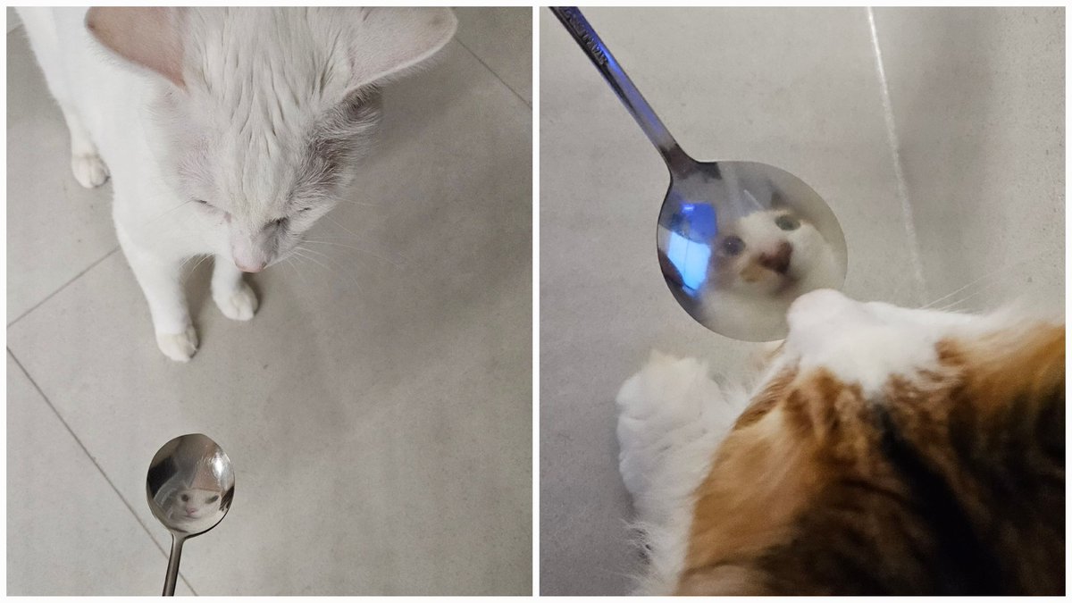 v2v1v22v1's tweet image. 