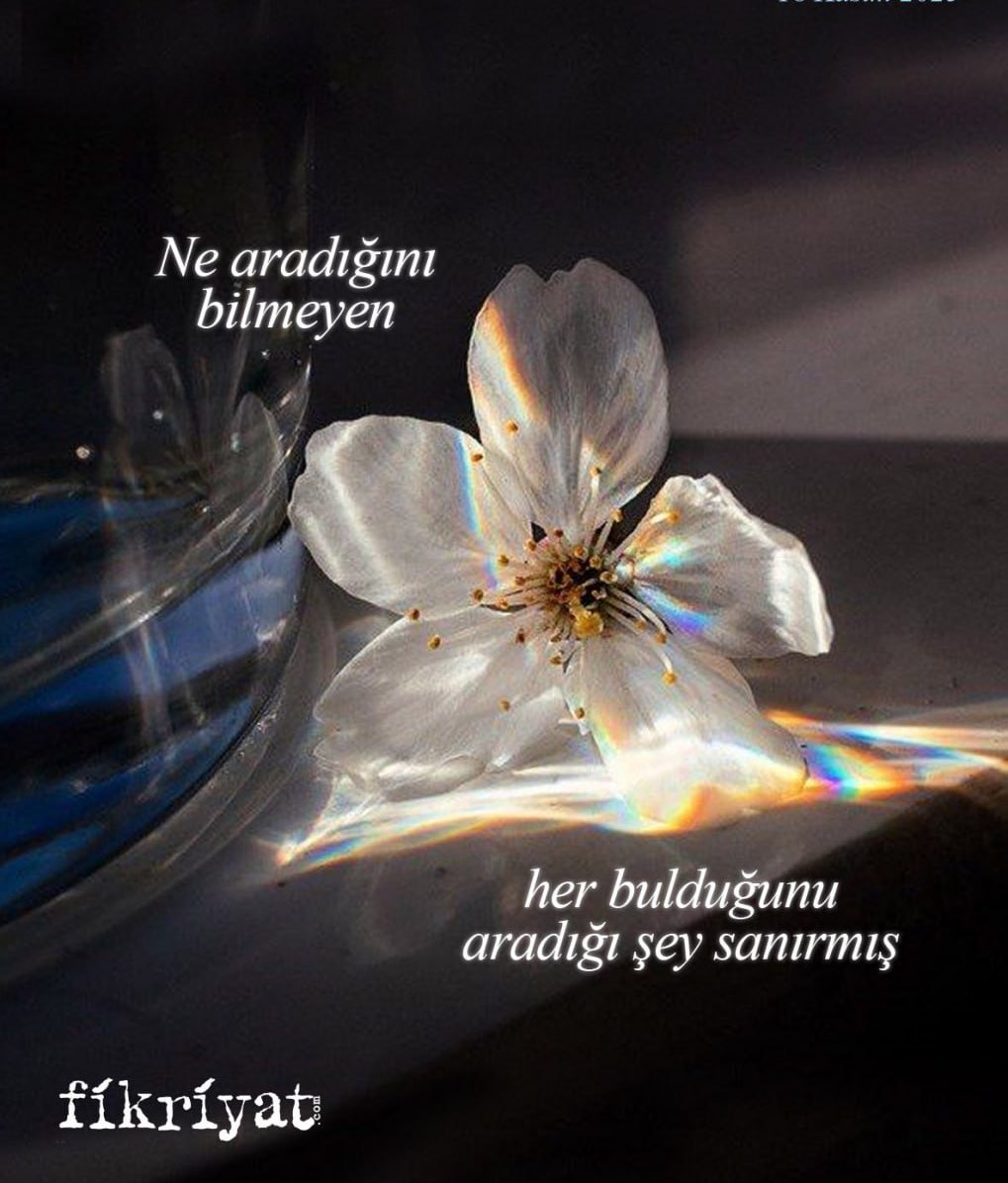 "Ne aradığını bilmeyen, aradığını bulsa da bulduğunu anlayamaz."