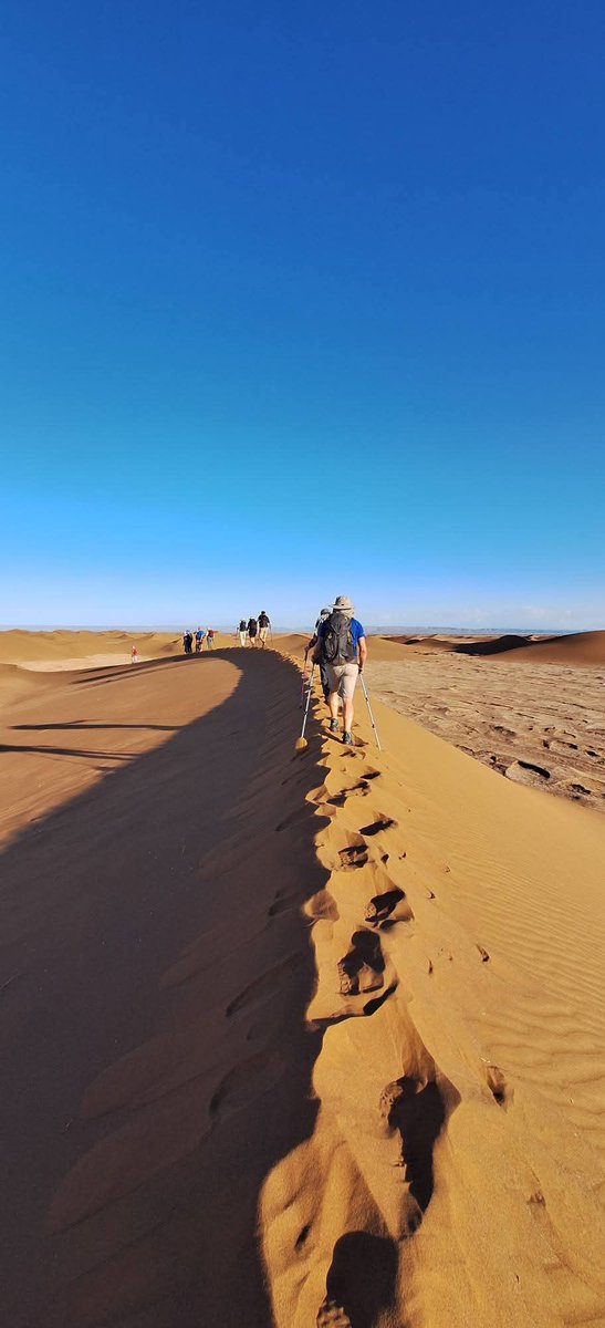 The Beyond Recovery Project tweet media