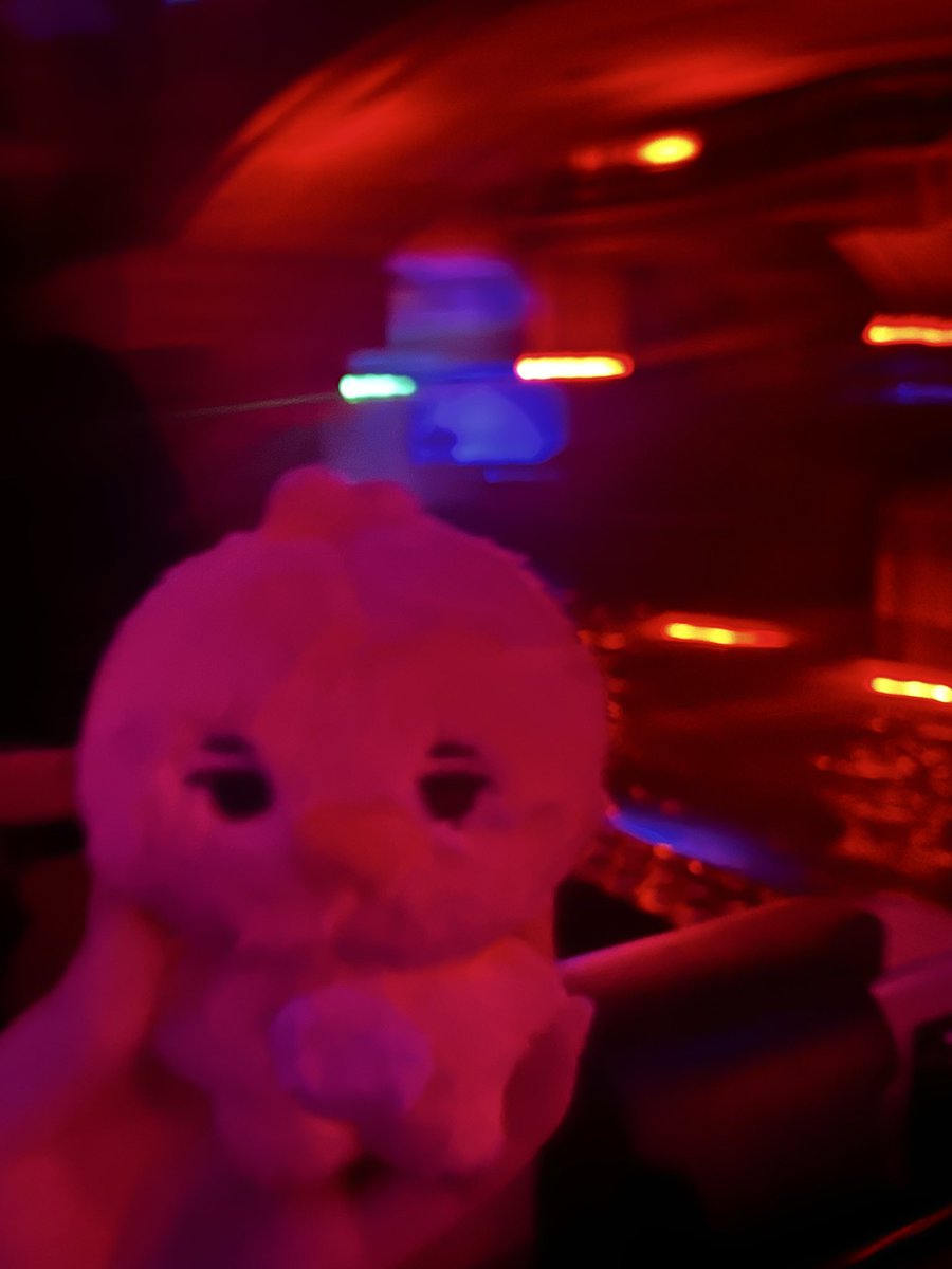 저 롯데월드에서
니키 조명 손민수했어요