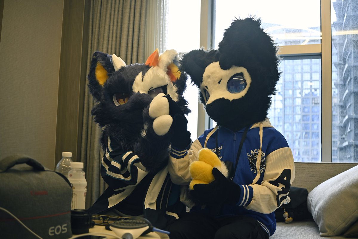 #fursuit
总之就是拿几个月前的图出来回味一下
每次看到都很开心
希望下一次再拍好看点的