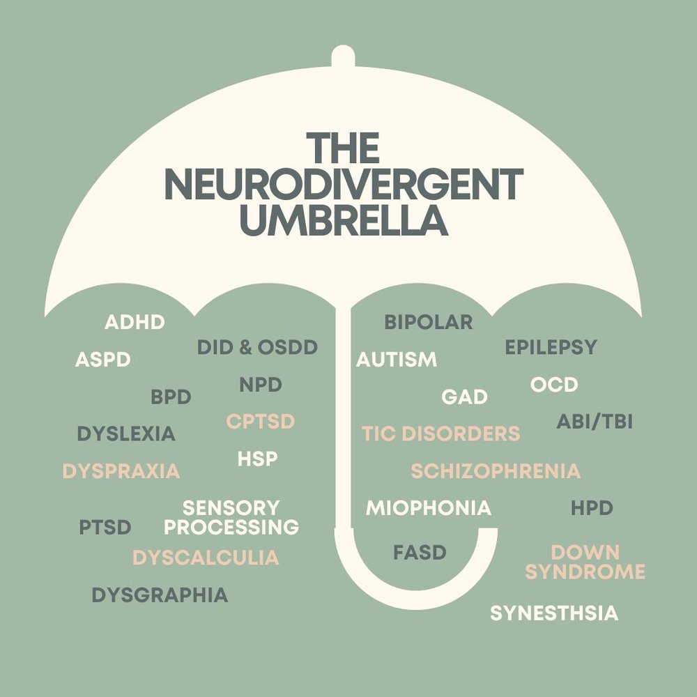 ALDTU aldtu.bsky.social tweet media