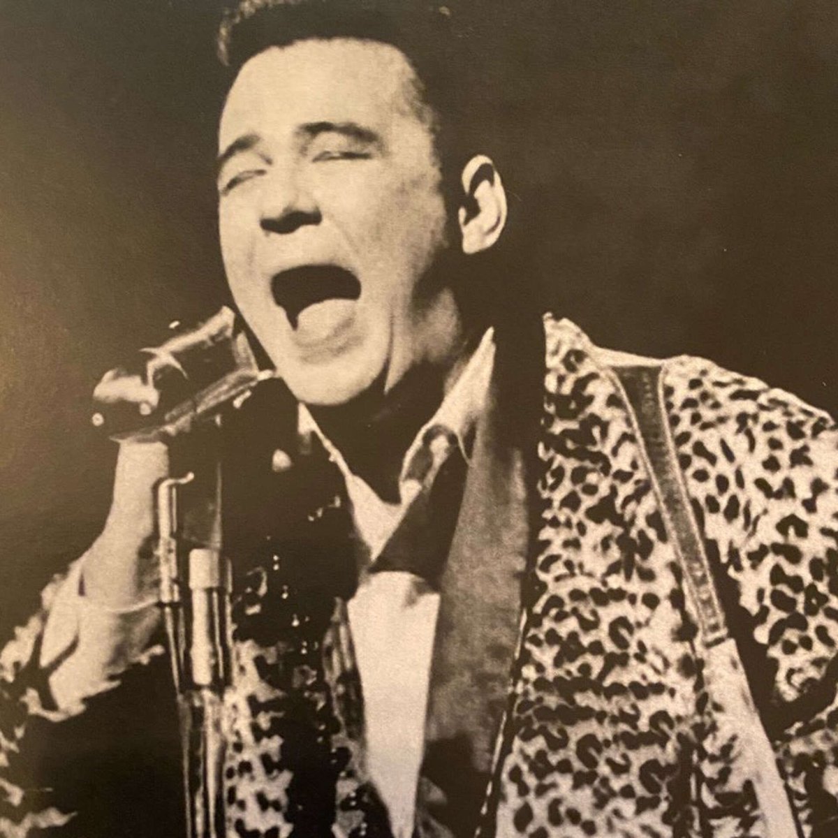 RockingJamboree's tweet image. The #BigBopper’s biopic needs to be titled, “Chantilly Lace”! Fight me on this!

Otherwise, it’s called, “Too Big to Fly; But Not Too Big to Die‼️”