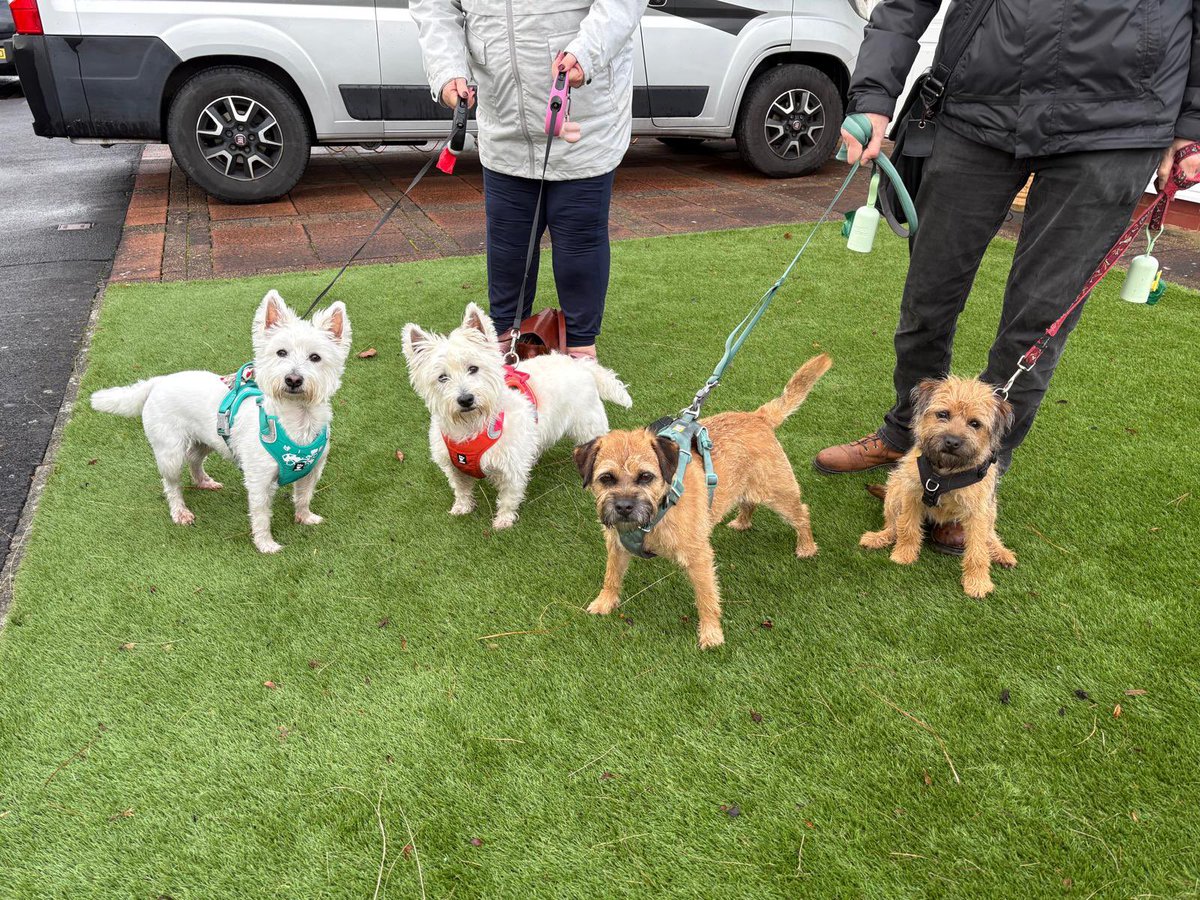 jakedoganality's tweet image. We’ve been out in Lytham with our cousins Gladys and Edna - so noisy, oops, Geri ….. with a supporting role from Edna! #BTPosse #dogsoftwitter