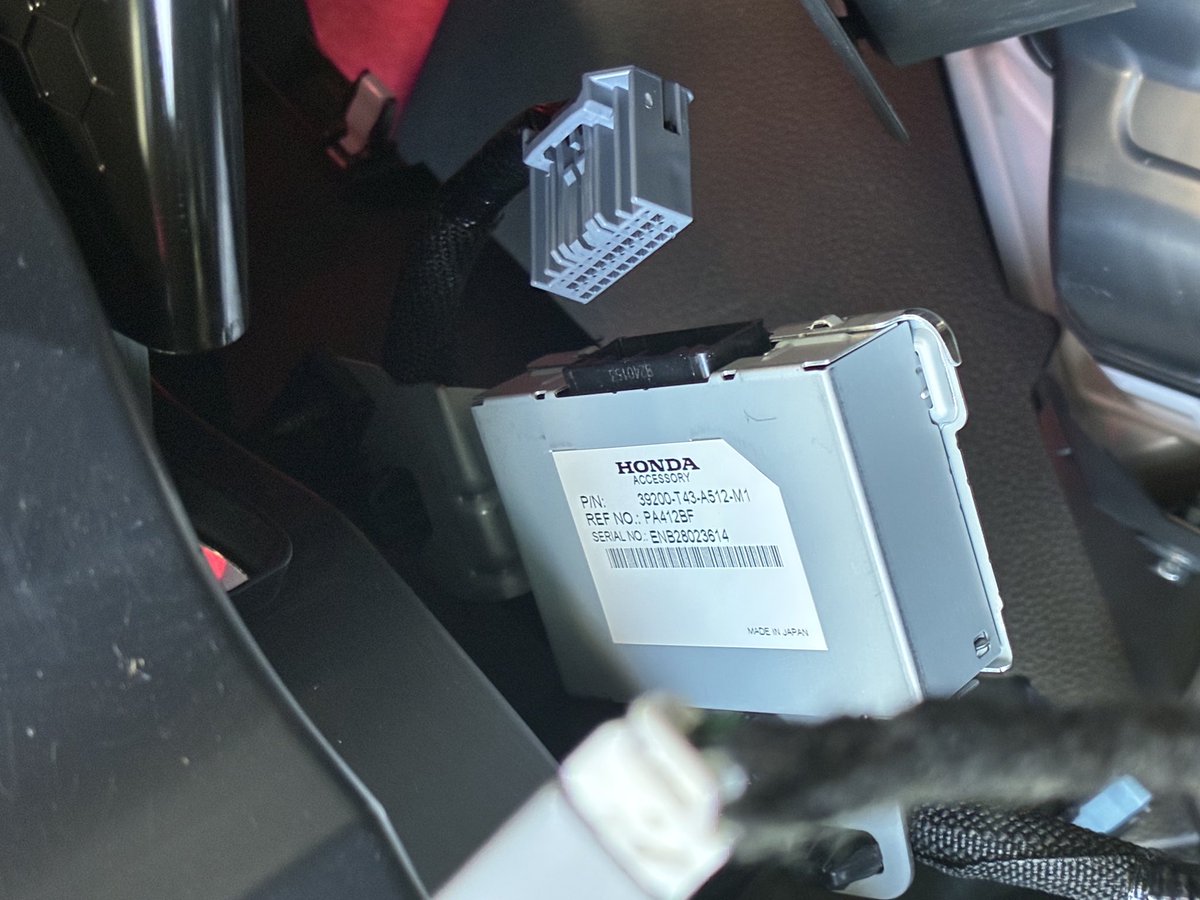 ちょうど今日引っこ抜いてきたわ