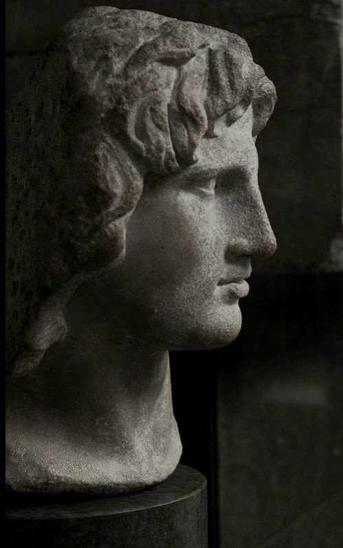 According to Plutarch,  Alexander took with him Aristotle's annotated copy of Homer's Iliad, aka "The Iliad of the Casket" for after judging a coffer the most precious of King Darius' treasures, Alexander declared that only 'The Iliad' was worthy of being placed inside.