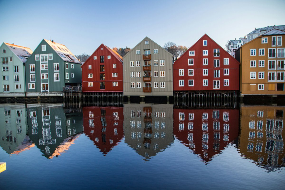 Labiataa's tweet image. Reflexo-Trondheim.
