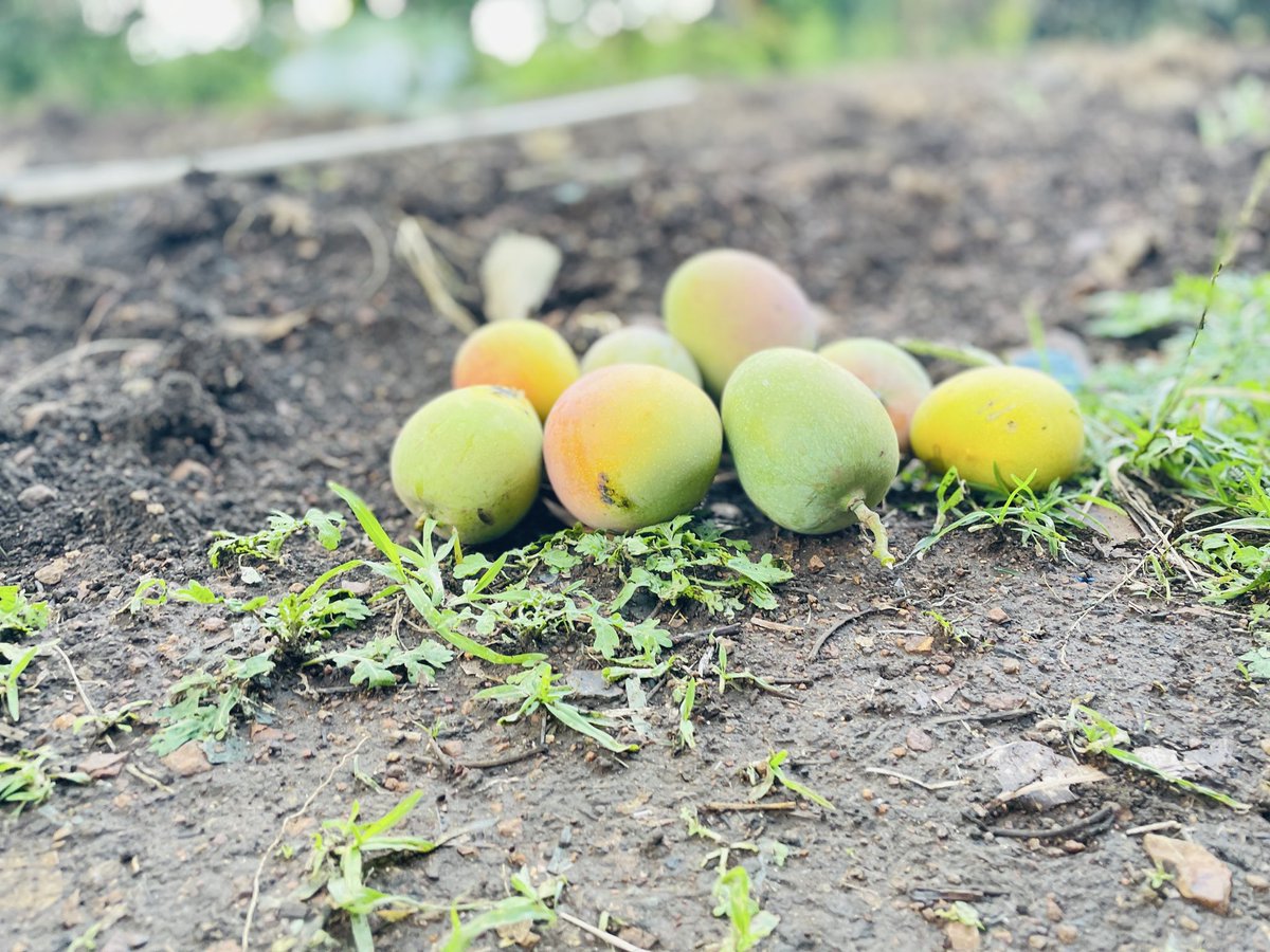 MnguniReebo's tweet image. Tsine base Simunye this is our time to shine 🥳🥳🥳☺️
#TiniTwitter