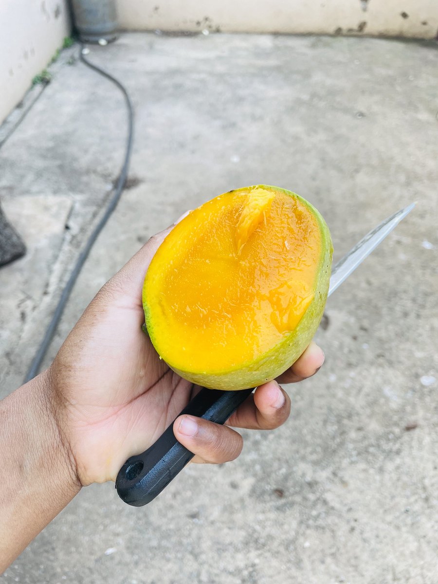 MnguniReebo's tweet image. Tsine base Simunye this is our time to shine 🥳🥳🥳☺️
#TiniTwitter