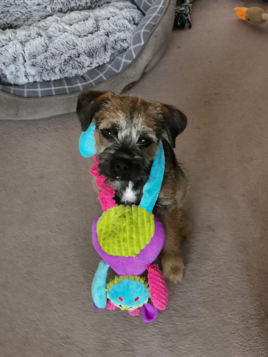 MalcolmtheB's tweet image. Hoodad doing great job taking photos &amp;amp; sharing with me secretary but something tells me this may not be today 🤔 #BTPosse subtafarg...