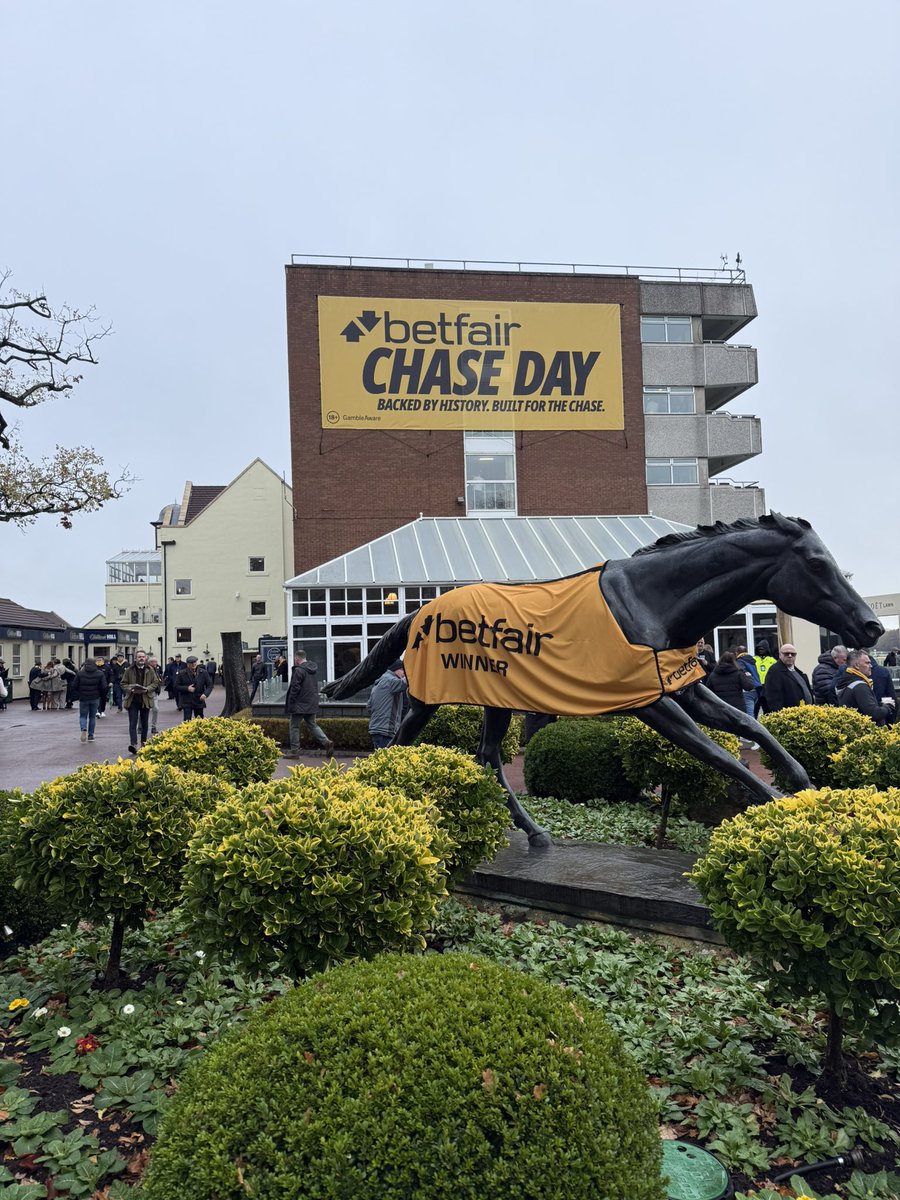 StephenFisher_'s tweet image. Brilliant day at @haydockraces for Betfair Chase Day! 🟡⚫️