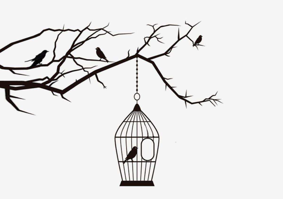 وقد يبقى المرء في حياته وحيدًا مثل عصفور في قفص، يظن أن بابه المفتوح .. "فـخ"!.🐦‍⬛