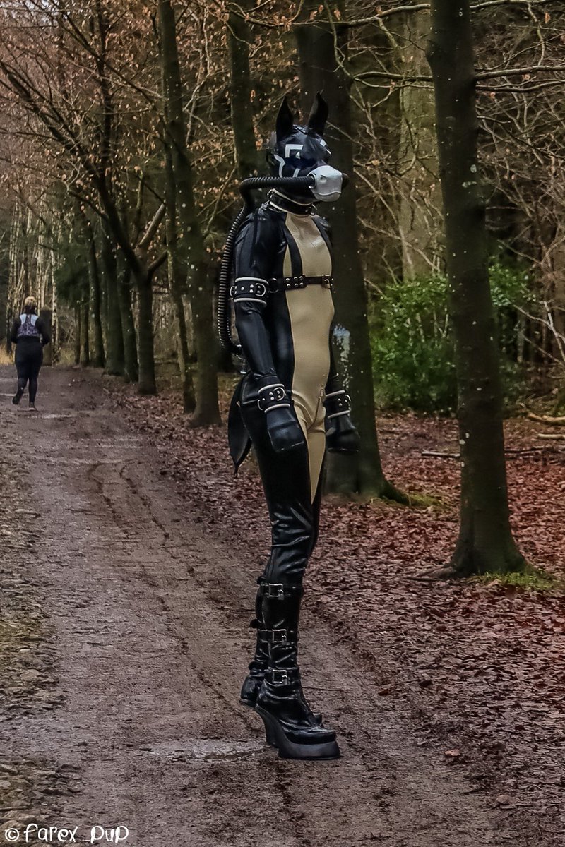 Slutty Zear Shadow Bluetail 🔜EF tweet media