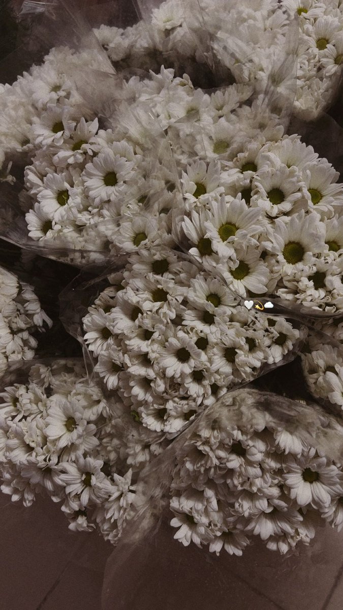 mervecaglli's tweet photo. Ay bugün her yer çiçeklerle doluydu🧚‍♀️ 💐 https://t.co/m6tDaBAJRo