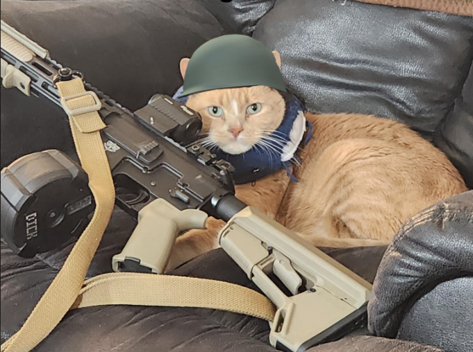 tradepostpawn's tweet image. Happy Meme Monday!
When you ask the cat to “watch the front,” and he takes it WAY too literally. 😂

#MemeMonday #TradingPostPawn #ShopSmallShopLocal #APawnShopIsLikeABoxOfChocolates #CatHumor