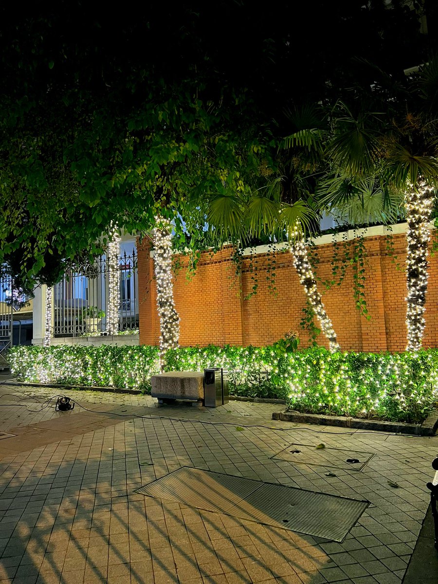 fmapfre's tweet image. 🔌🎄 La Navidad ya ilumina Madrid y nuestras salas de exposiciones. Ven a vivirla entre arte: Raimundo de Madrazo y Edward Weston te esperan. ¡Te esperamos para celebrar con nosotros esta primera estampa navideña! #MadrazoFM #WestonFM