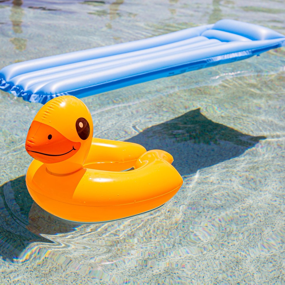 CasaDoradaCabo's tweet image. Friday’s agenda: Float, refresh, repeat. Because vacation mode is ON. 💦😎
.
.
.
#vacationmode #poolsidevibes #medanobeach #casadoradacabo #loscabos