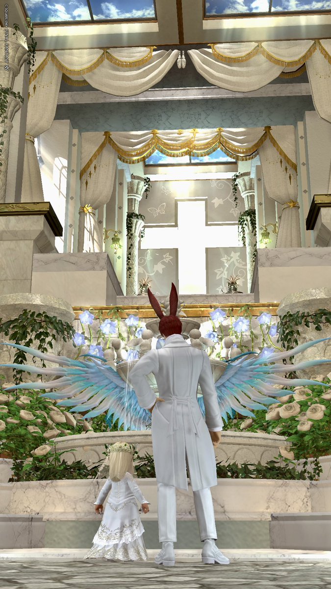 まめまめ tweet media